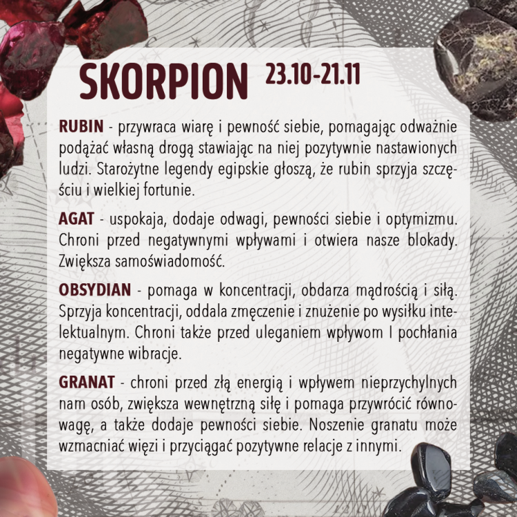 skorpionINFO1.png